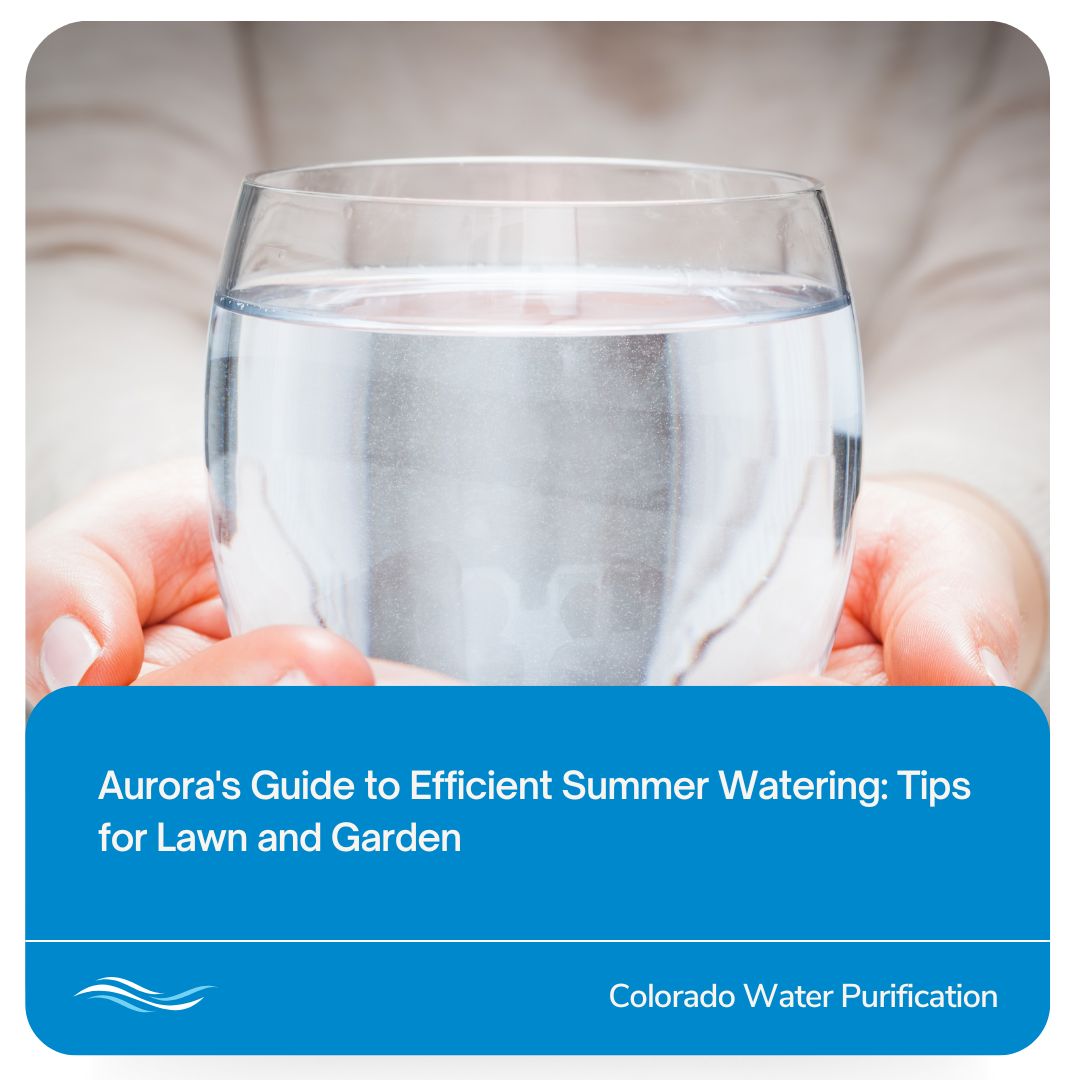 Aurora’s Guide To Efficient Summer Watering: Tips For Lawn And Garden
