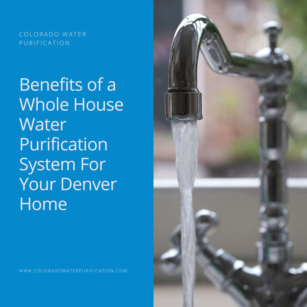 Benefits of a Whole House Water Purification System For Your Denver Home