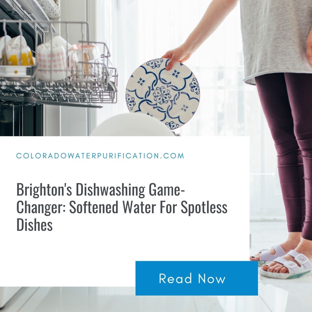 Brighton’s Dishwashing Game-Changer: Softened Water For Spotless Dishes