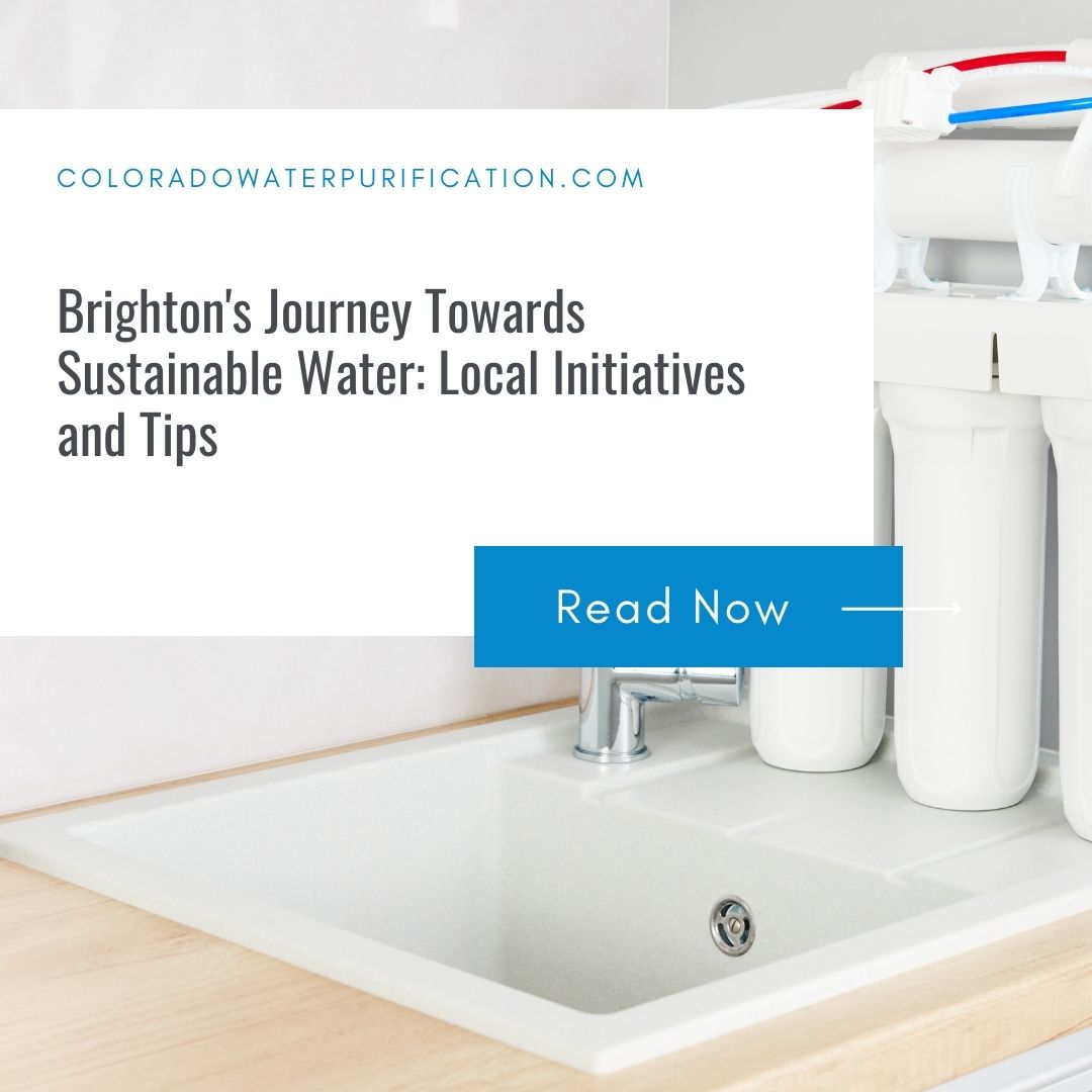 Brighton’s Journey Towards Sustainable Water: Local Initiatives and Tips
