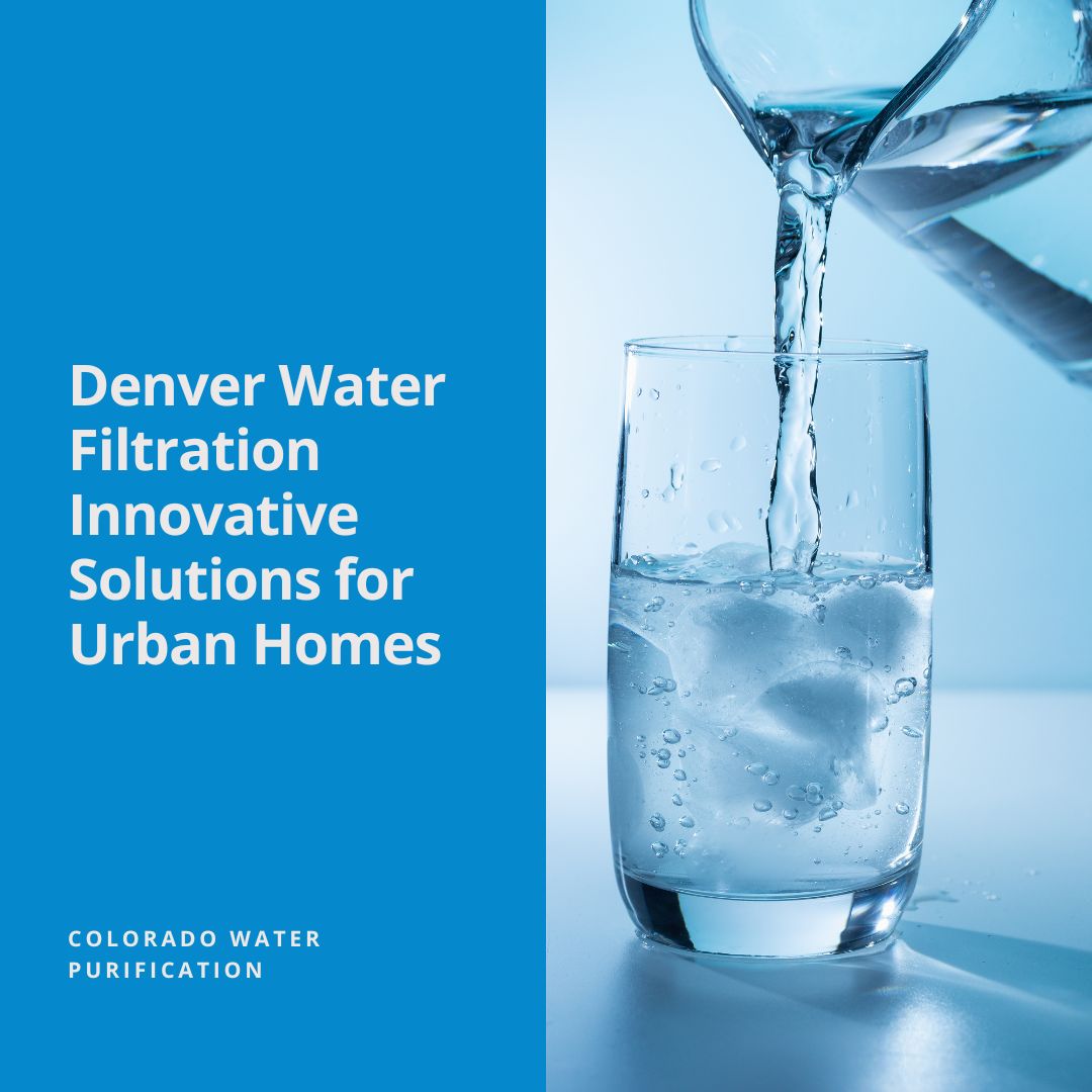Denver Water Filtration Innovative Solutions for Urban Homes