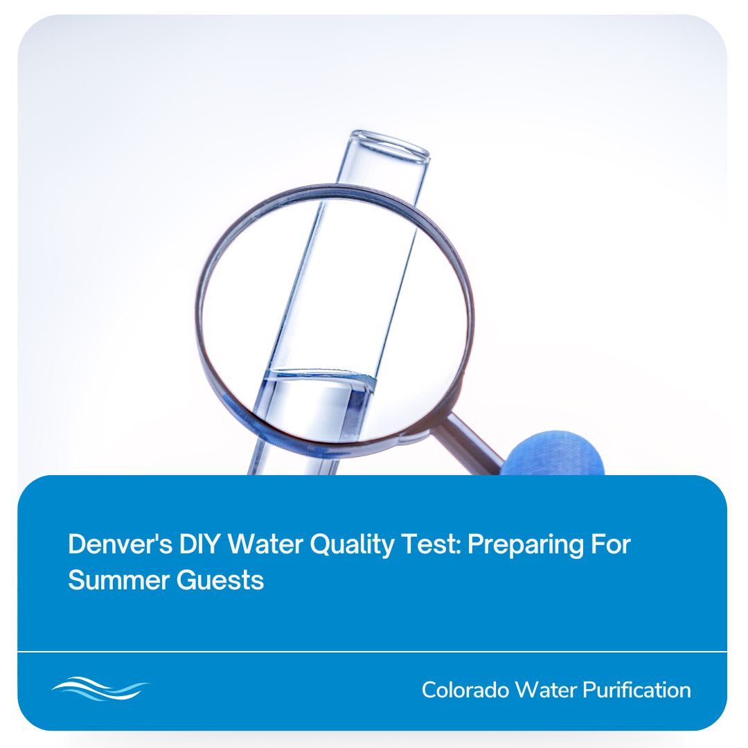 Denver’s DIY Water Quality Test: Preparing For Summer Guests