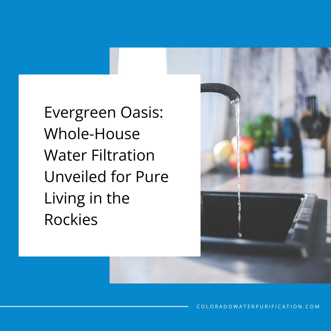 Evergreen Oasis: Whole-House Water Filtration Unveiled for Pure Living in the Rockies