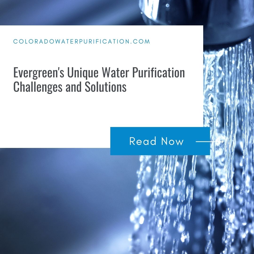 Evergreen’s Unique Water Purification Challenges and Solutions