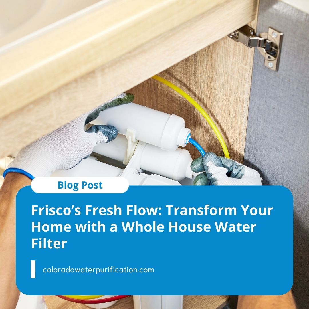 Frisco’s Fresh Flow: Transform Your Home with a Whole House Water Filter