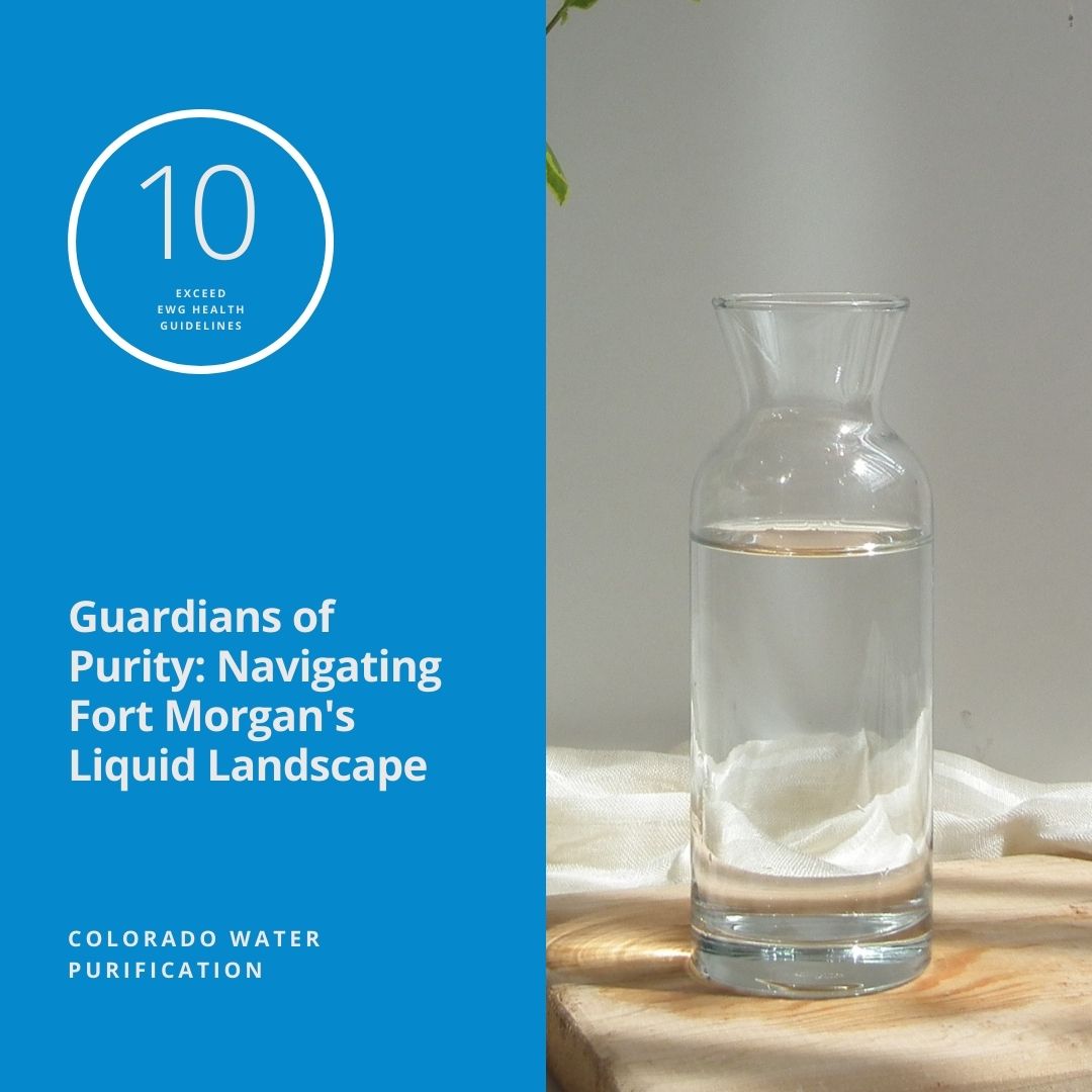 Guardians of Purity: Navigating Fort Morgan’s Liquid Landscape