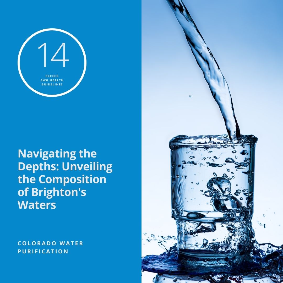 Navigating the Depths: Unveiling the Composition of Brighton’s Waters