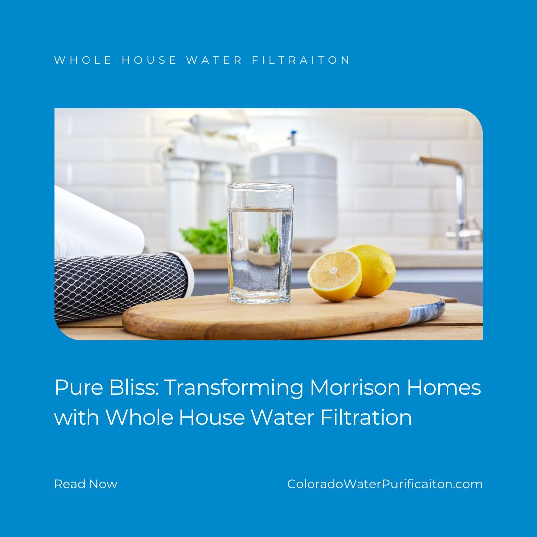 Pure Bliss: Transforming Morrison Homes with Whole House Water Filtration