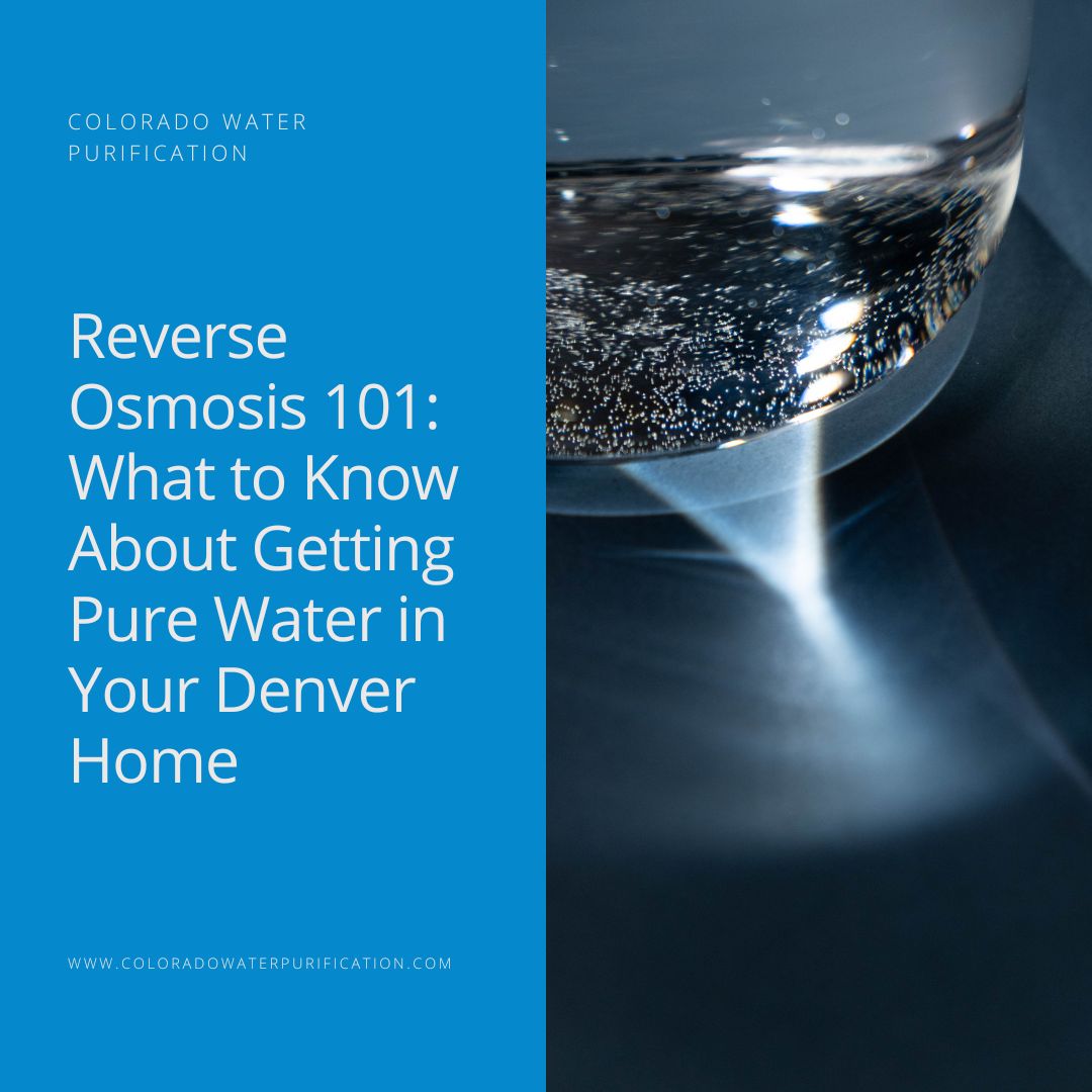 Reverse Osmosis 101: What to Know About Getting Pure Water in Your Denver Home