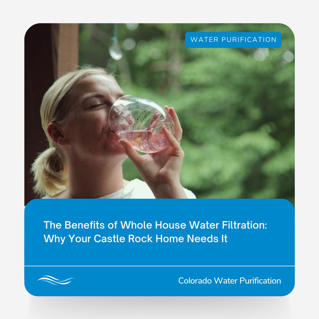 The Benefits of Whole House Water Filtration: Why Your Home Needs It