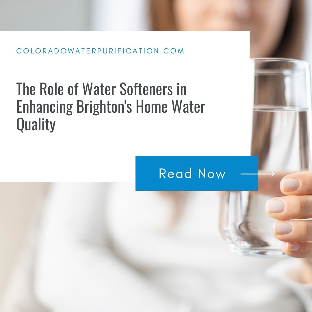 The Role of Water Softeners in Enhancing Brighton’s Home Water Quality
