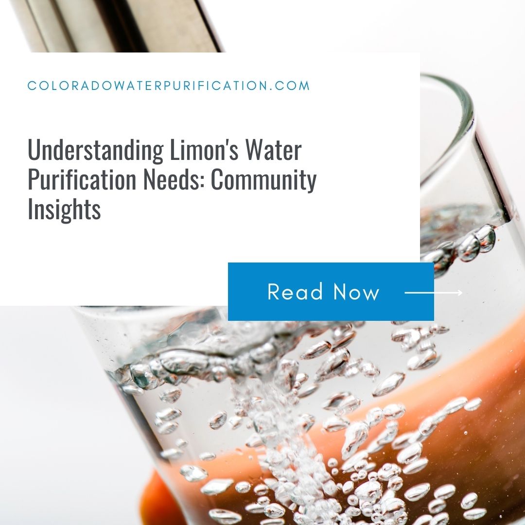 Understanding Limon’s Water Purification Needs: Community Insights