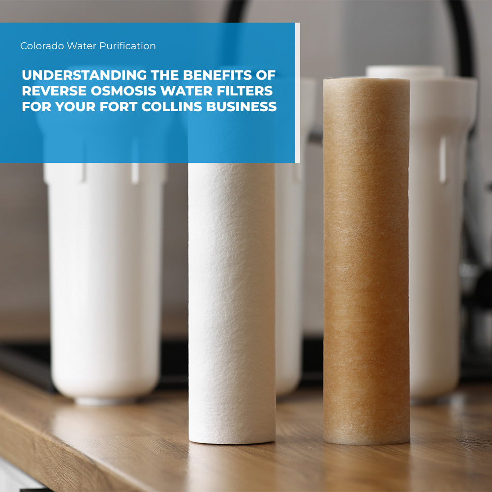 Understanding the Benefits of Reverse Osmosis Water Filters for Your Fort Collins Business