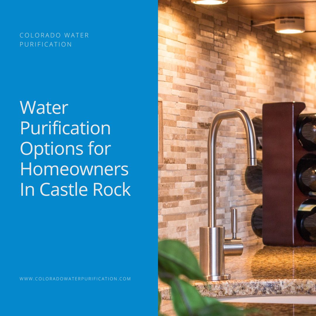 Water Purification Options for Homeowners In Castle Rock