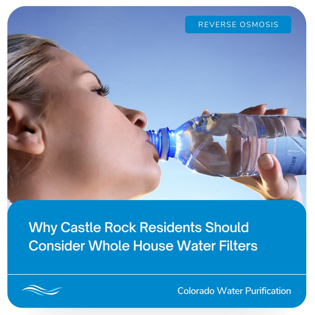 Why Castle Rock Residents Should Consider Whole House Water Filters