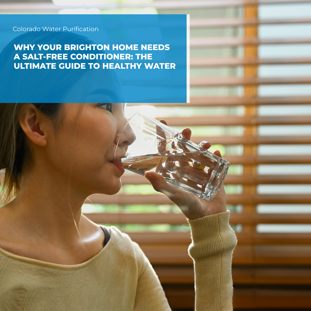 Why Your Brighton Home Needs a Salt-Free Conditioner: The Ultimate Guide to Healthy Water
